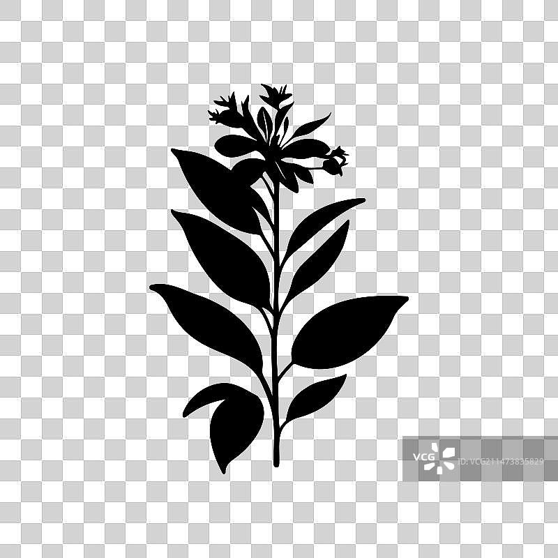 黄蝉花图标手绘黑色植物标志符号图片素材