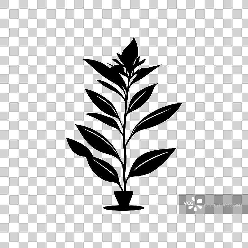 黄蝉花图标手绘黑色植物标志符号图片素材