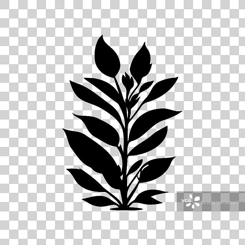 黄蝉花图标手绘黑色植物标志符号图片素材