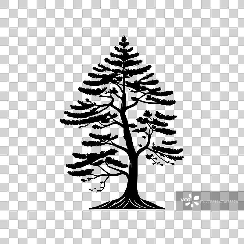 手绘黑色乔松树图标图片素材