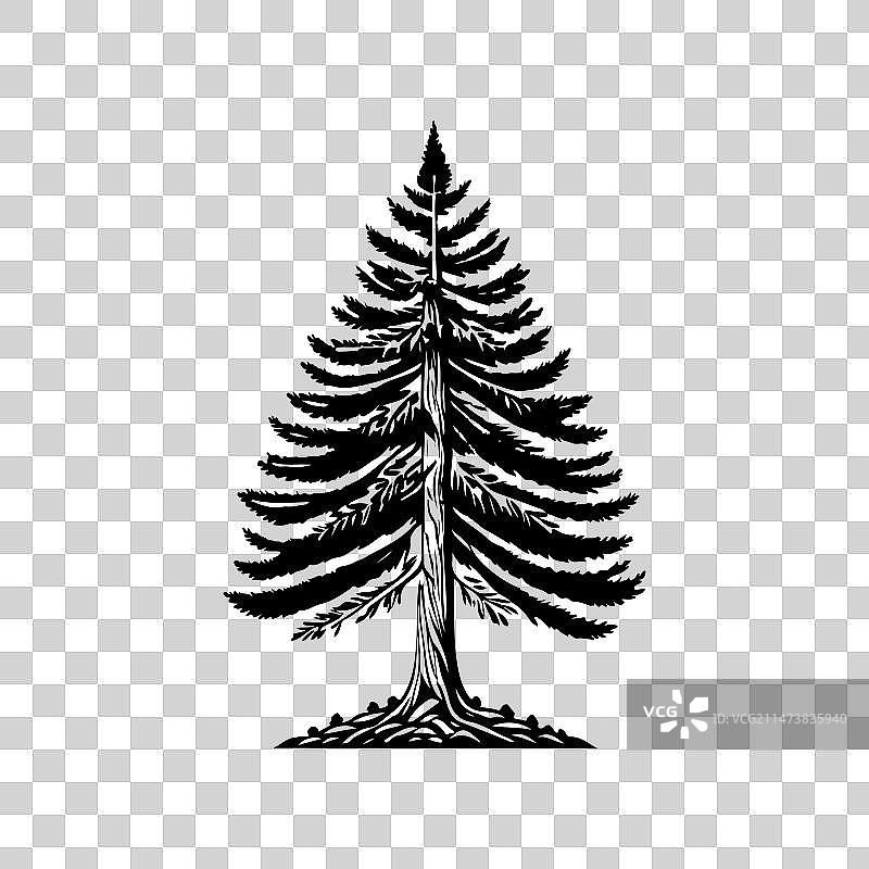 手绘黑色树木图标图片素材