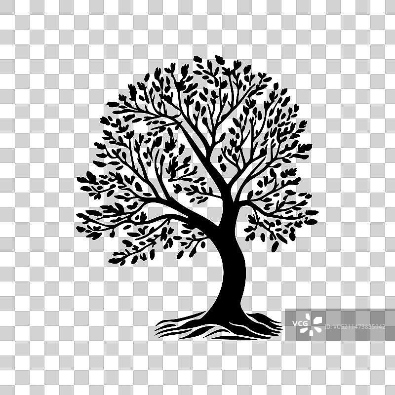 欧洲白蜡树图标手绘黑色树木图片素材