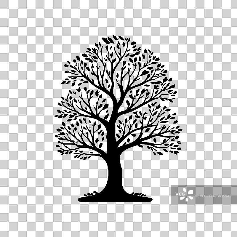 欧洲白蜡树图标手绘黑色树木图片素材