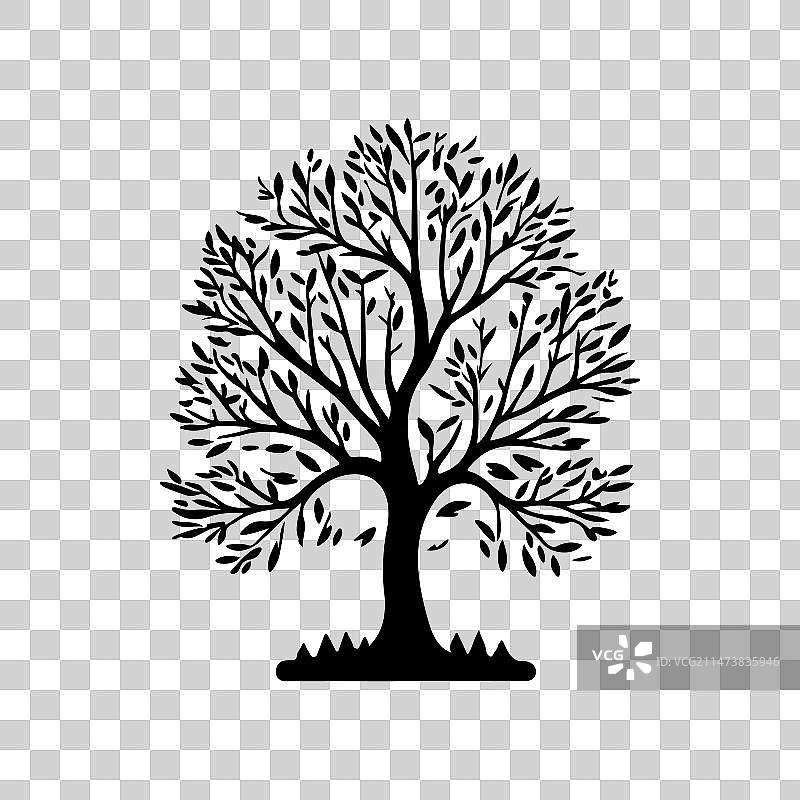 欧洲白蜡树图标手绘黑色树木图片素材