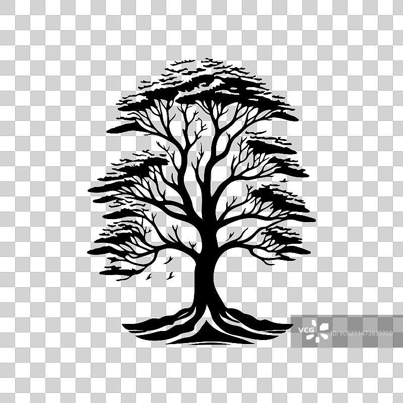欧洲白蜡树图标手绘黑色树木图片素材