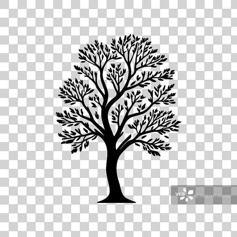 欧洲白蜡树图标手绘黑色树木图片素材