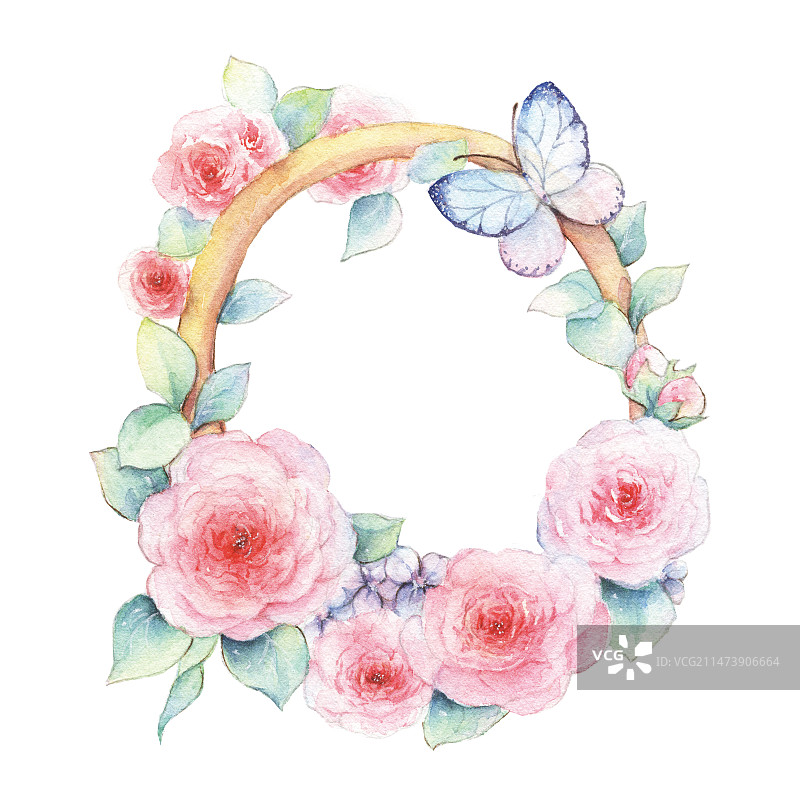 白色背景上水彩手绘清新粉红色玫瑰花朵花环与蝴蝶园艺环保设计的特写镜头图片素材