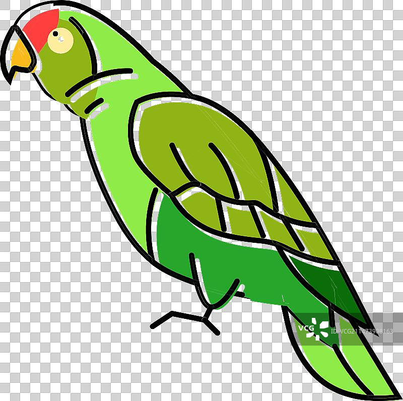 亚马逊鹦鹉鸟颜色图标图片素材