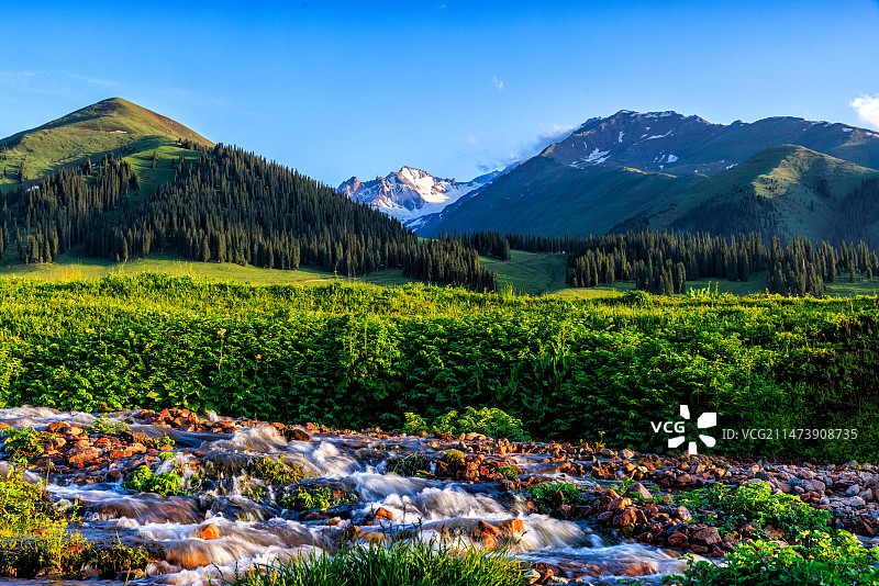 新疆伊犁那拉提空中草原图片素材