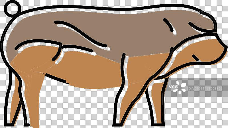 杜洛克猪品种彩色图标图片素材