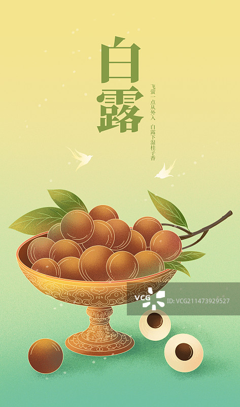 白露龙眼桂圆节气海报图片素材