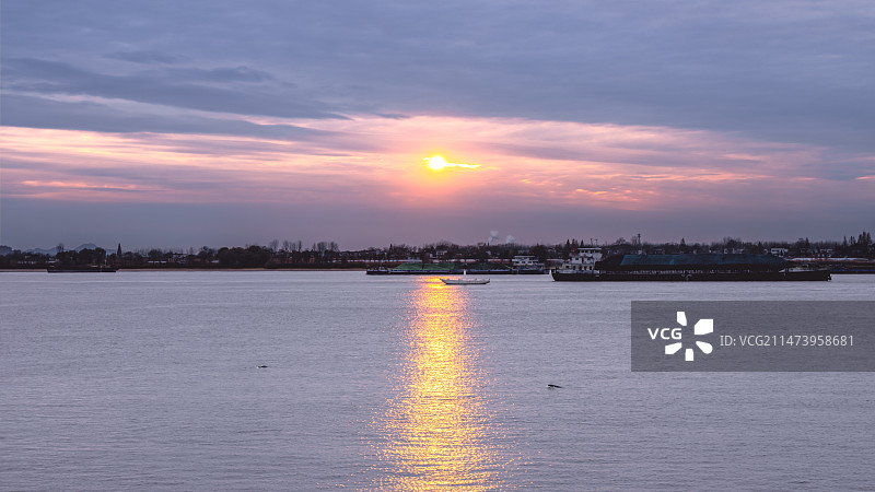 落日江豚图片素材