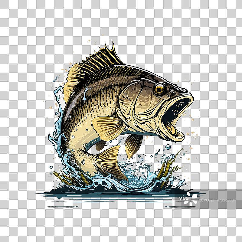 T恤上的卡通大鲈鱼图案图片素材