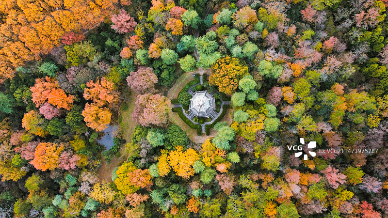 深秋南京音乐台图片素材