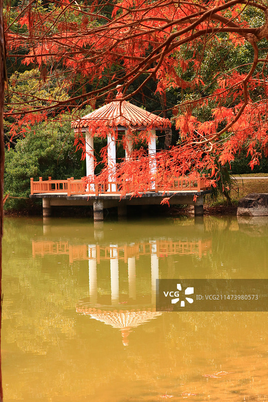 华南植物园图片素材