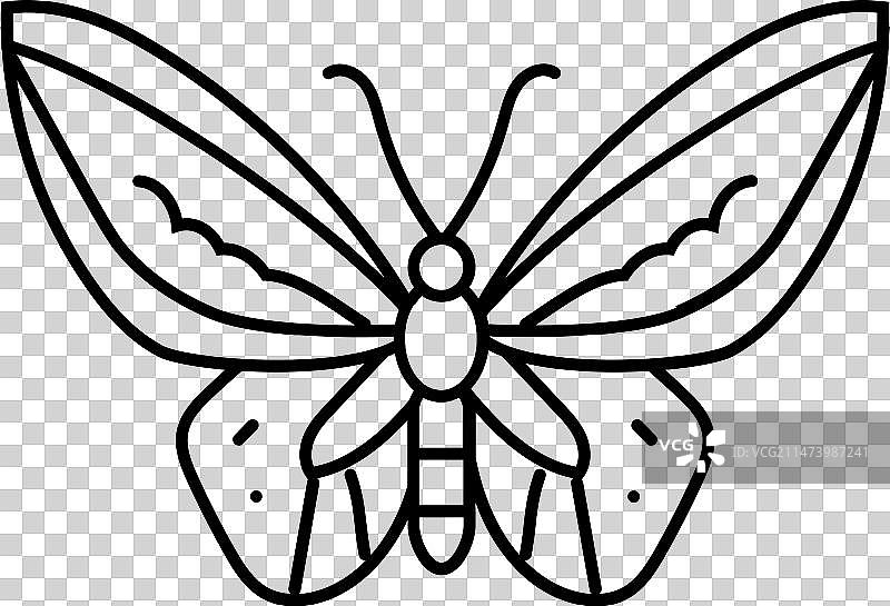 约克角鸟翼蝶昆虫线条图标图片素材