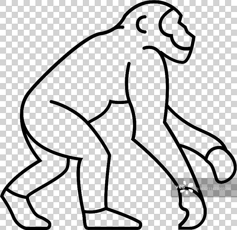 灵长类祖先人类进化线图标图片素材