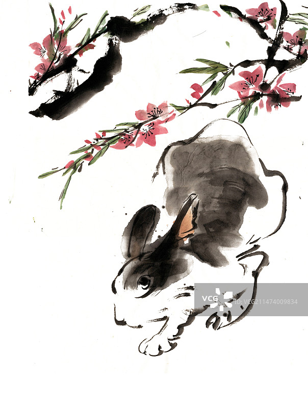 桃花下的兔子图片素材