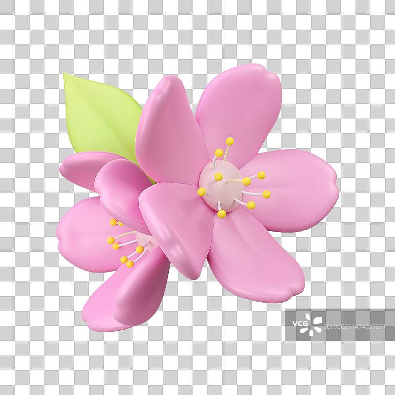 3D三维渲染立体春天花朵鲜花春游清新可爱图片素材