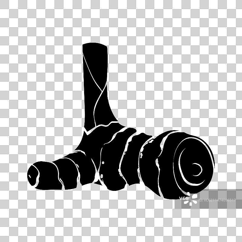 高良姜切片和整根图标图片素材