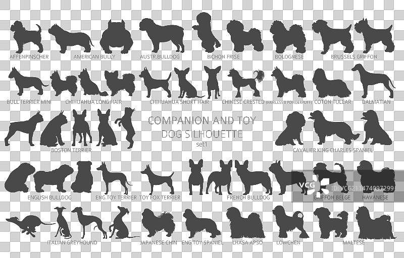 简约风格的狗品种剪影图案图片素材