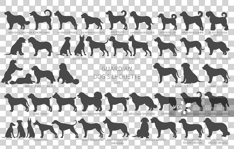 简约风格的狗品种剪影图案图片素材