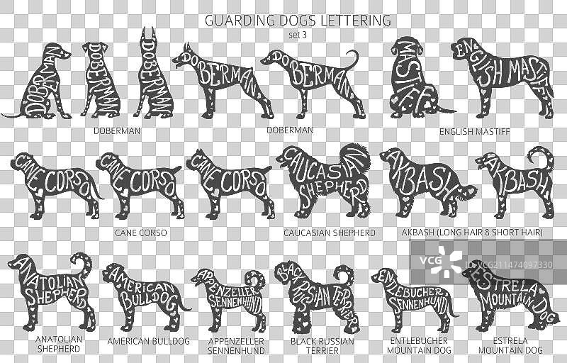 带字母的狗品种剪影图片素材