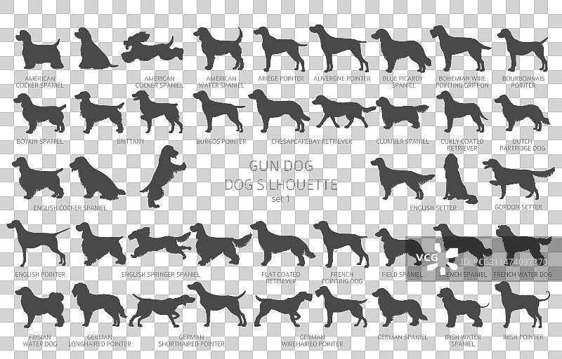 简约风格的狗品种剪影图案图片素材