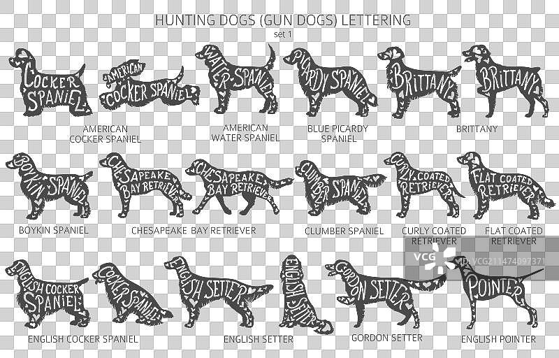 带字母的狗品种剪影图片素材