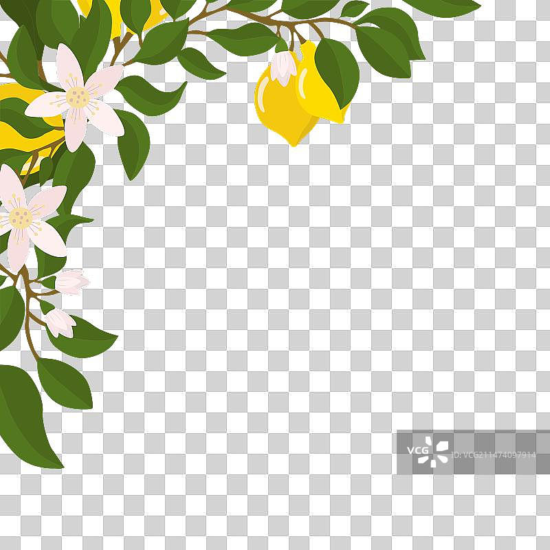 柠檬枝与柠檬边角装饰图片素材