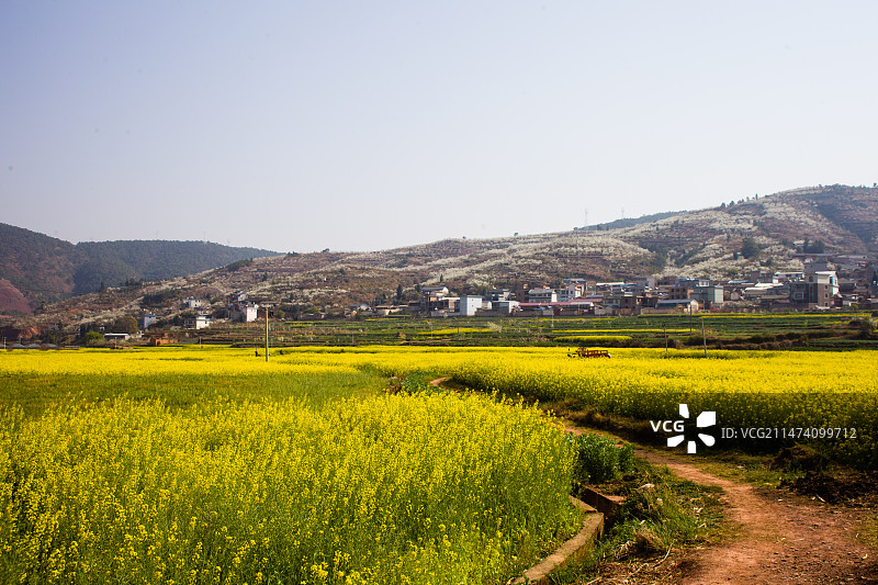 乡村风景图片素材