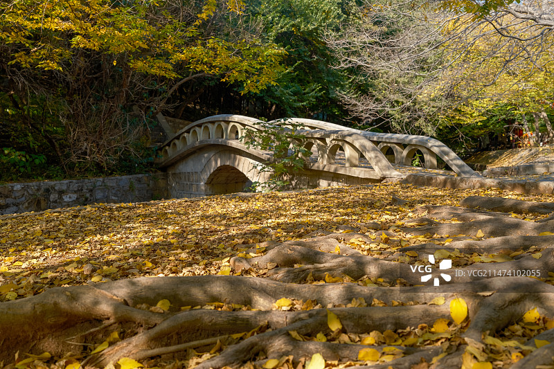 山东枣庄冠世榴园风景区青檀寺石拱桥秋色图片素材