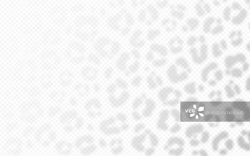 透明背景上的猎豹纹理阴影叠加图片素材