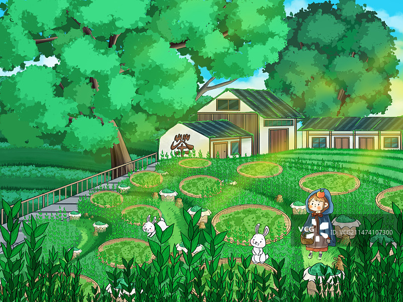 采茶的日子图片素材