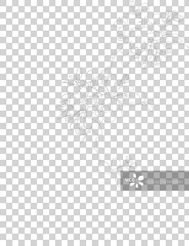 黑色背景下抽象图案的特写镜头不知名的小黄花不知名的油菜花荷花红果南天竹兰花图片素材