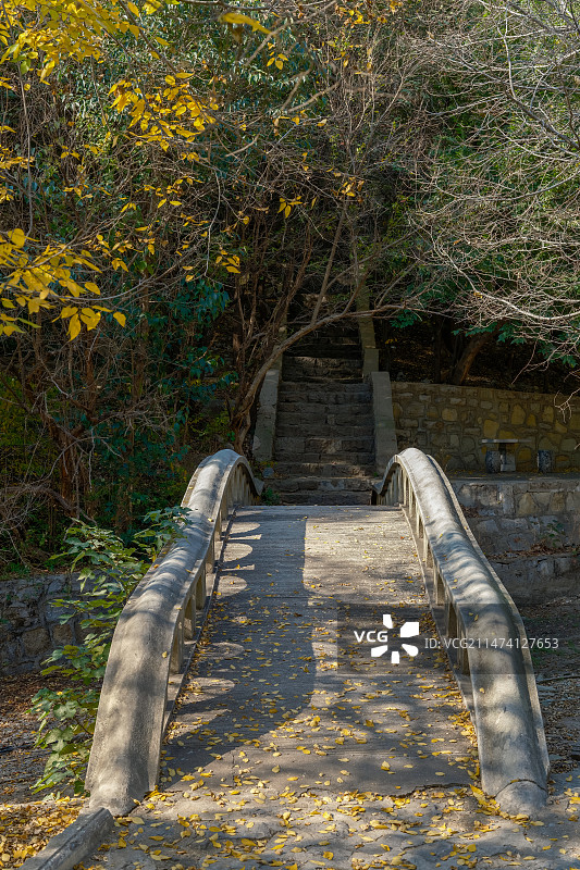 山东枣庄冠世榴园风景区青檀寺石拱桥秋色图片素材
