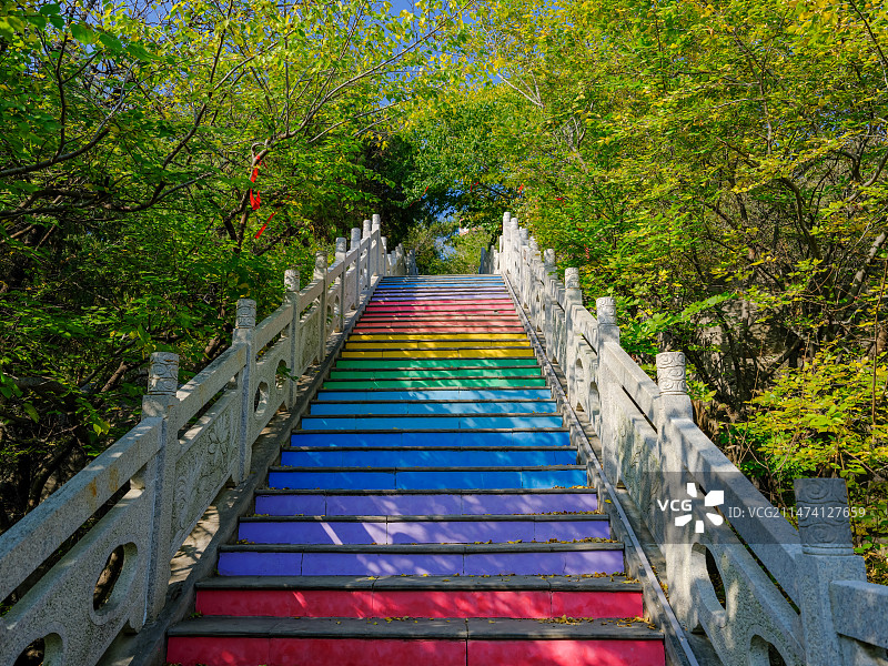 山东枣庄冠世榴园风景区青檀寺彩色台阶图片素材