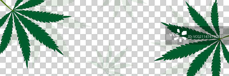 大麻叶大麻植物概念图片素材