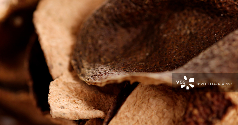 生态有机年份陈皮图片素材
