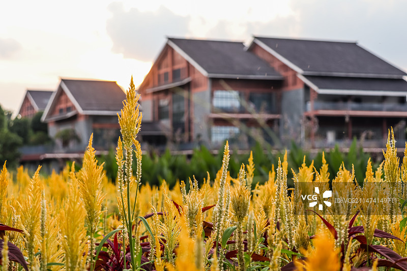 南宁园博园图片素材