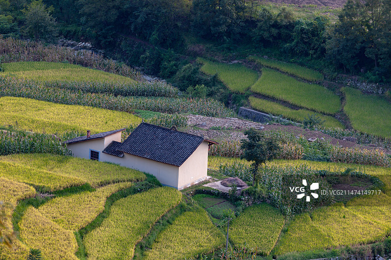 陕西汉阴县旋涡镇古梯田图片素材