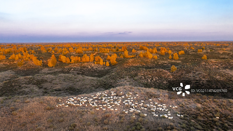 毛乌素沙漠边缘图片素材