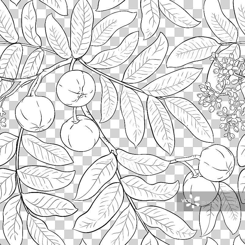 安迪罗巴树枝图案图片素材