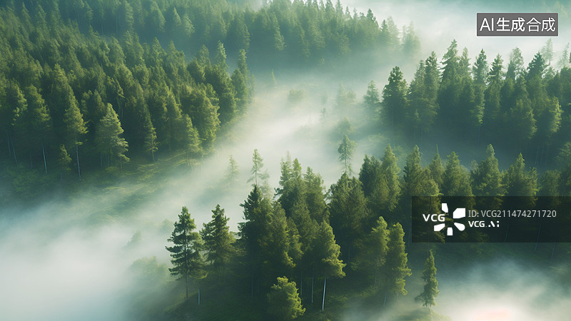 【AI数字艺术】清晨一片平流雾略过山林，沐浴着茂密的树木。图片素材