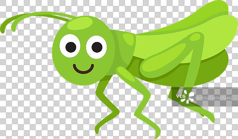白色背景上的绿色蚱蜢卡通图片素材