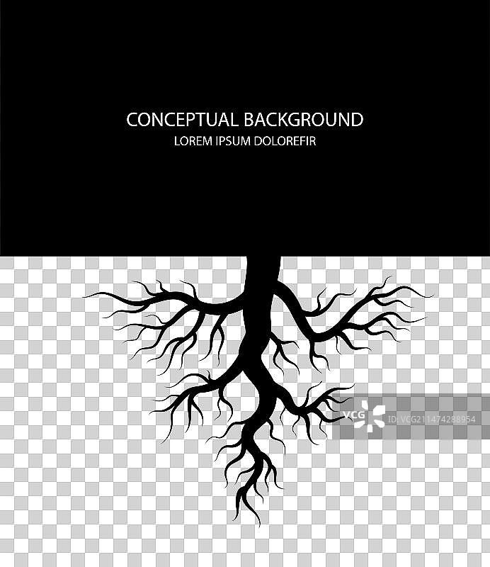 树根抽象概念背景图片素材