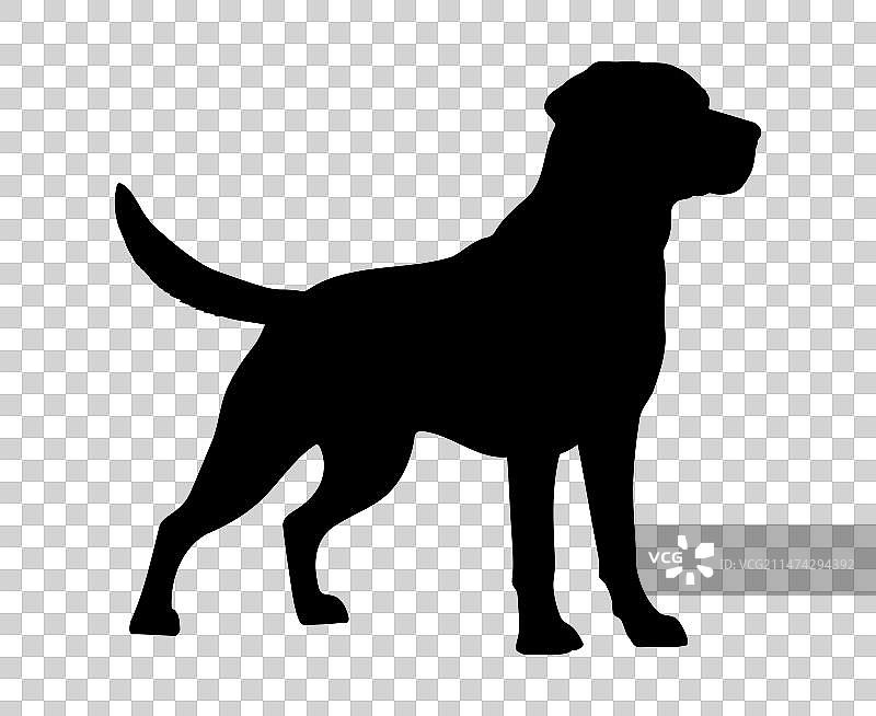拉布拉多寻回犬的轮廓剪影图片素材