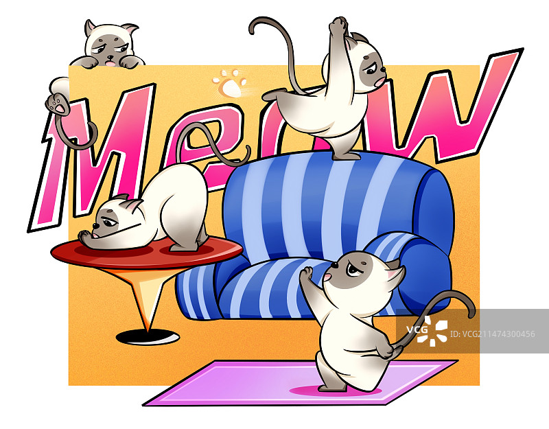 瑜伽喵图片素材