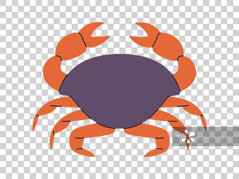 橙色和灰色珍宝蟹品种图片素材