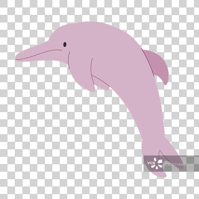 可爱的粉色河豚图片素材